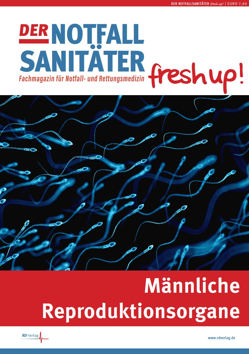 Der Notfallsanitäter fresh up! | Männliche Reproduktionsorgane - Anatomie & Physiologie